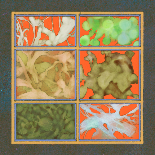 Six sections of a grid containing abstract organic forms in shades of green, white, and brown sit against a vibrant orange background, almost like cells under a microscope.